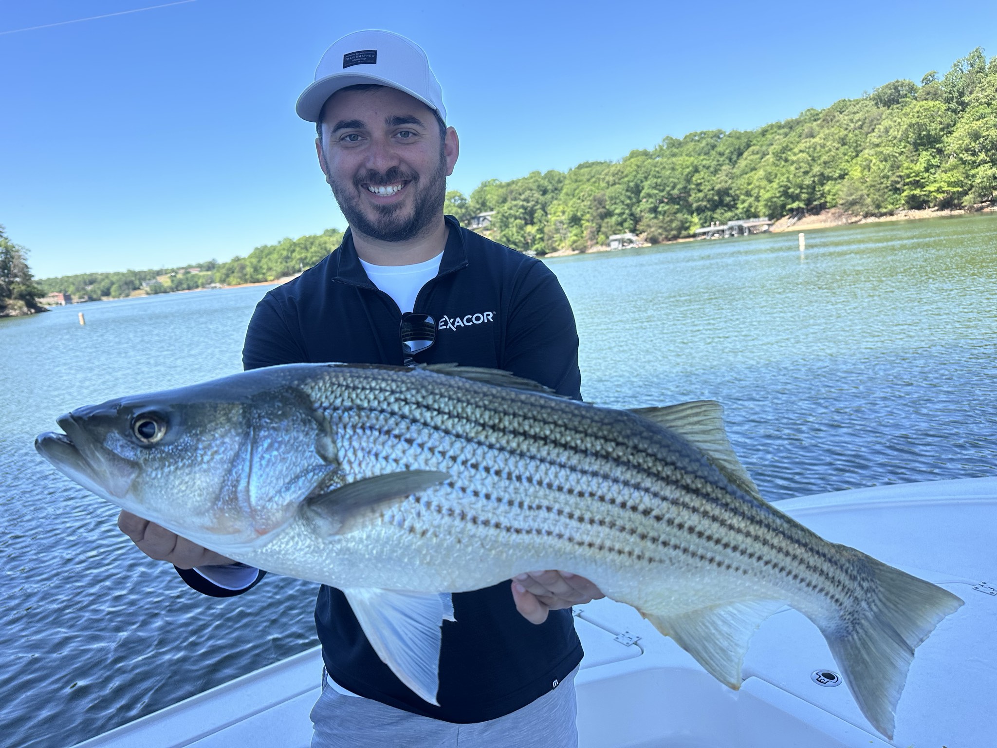 Striped Bass — May 2026