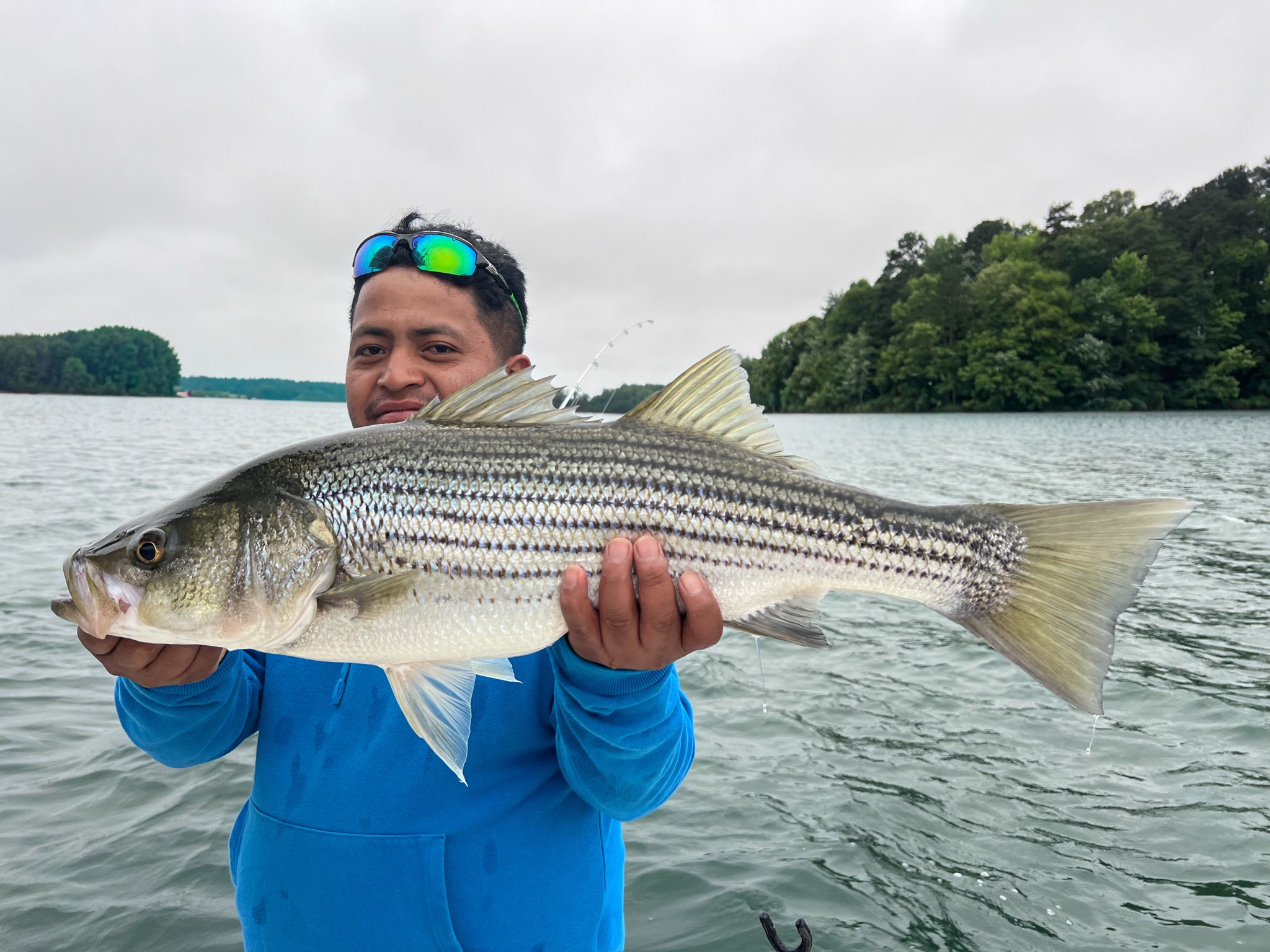 Striped Bass Success On Lake Lanier