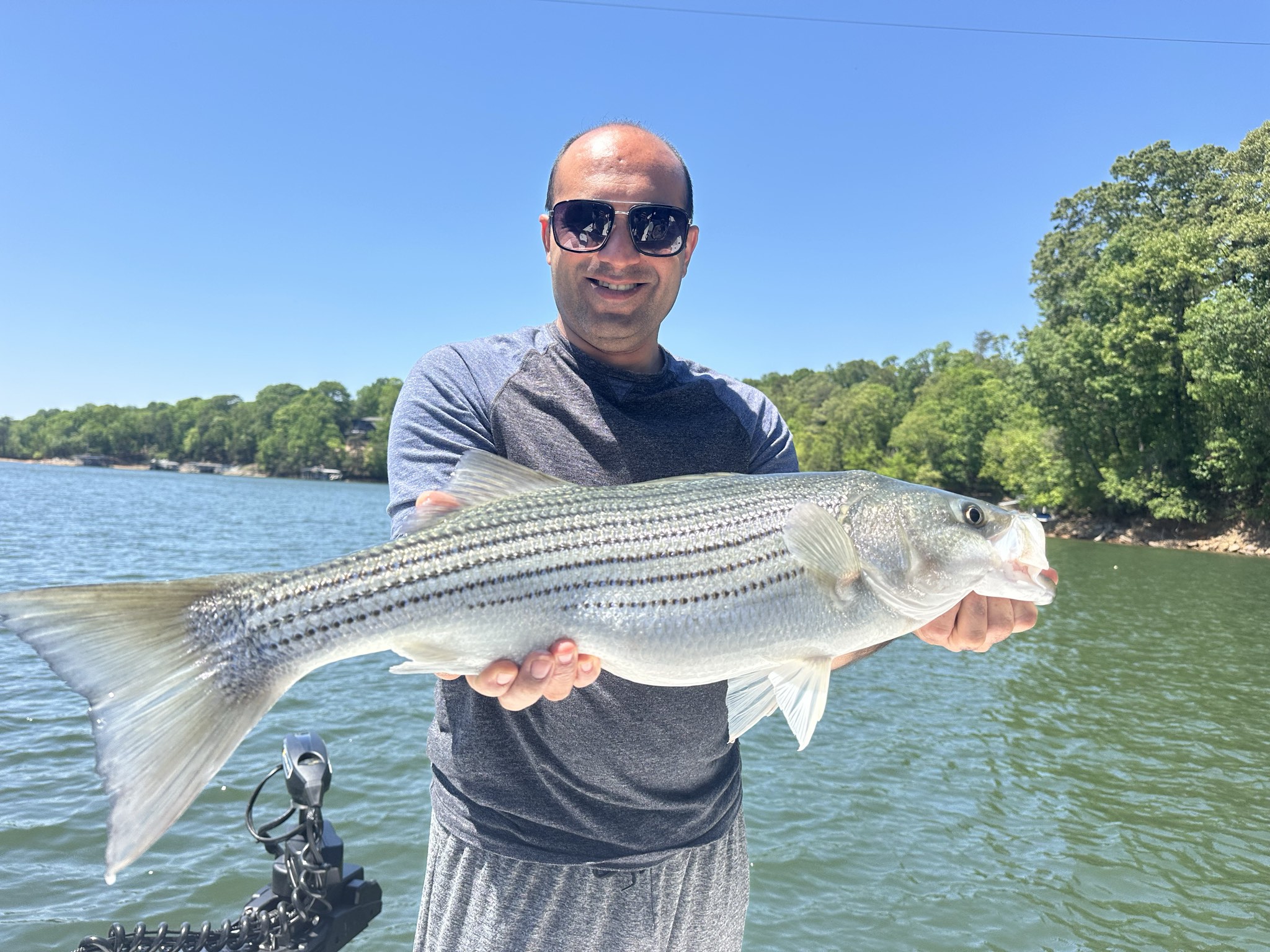 Striped Bass And Spotted Bass On Lake Lanier