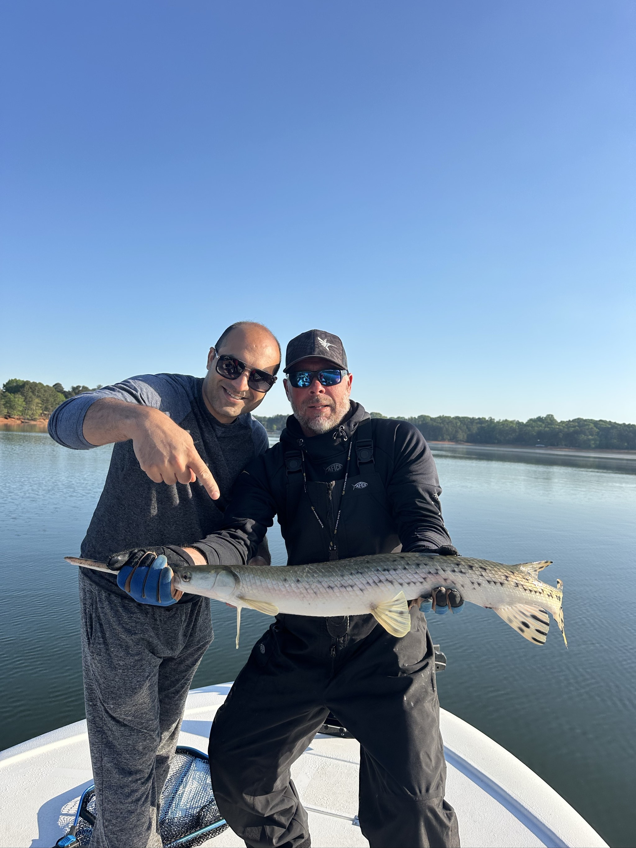 Striped Bass And Spotted Bass On Lake Lanier