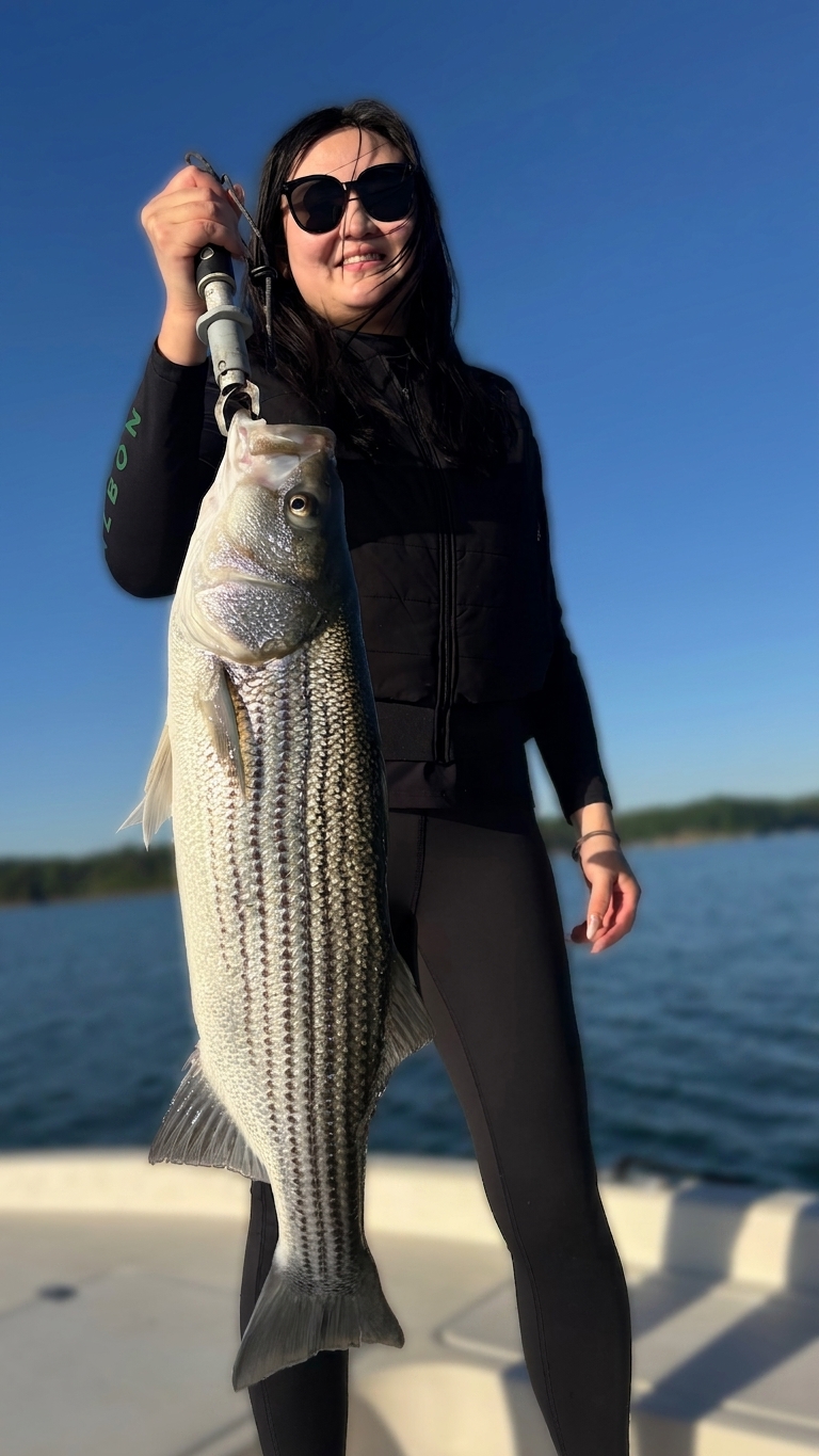 May Largemouth Bass And Catfish On Lake Lanier