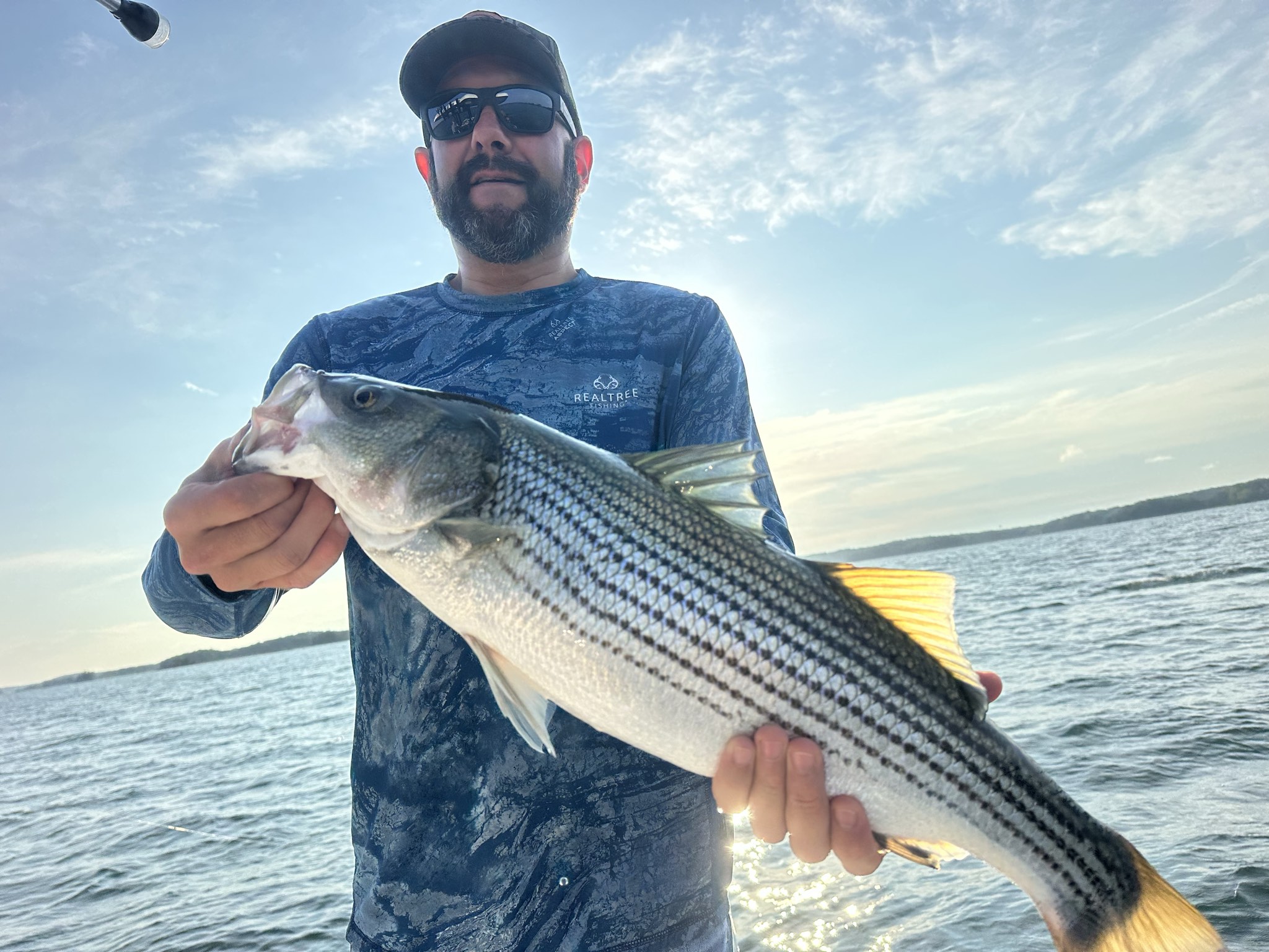 Striped And Spotted Bass On Lake Lanier