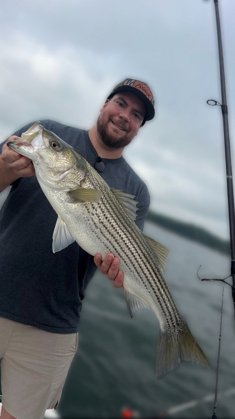 August Striped Bass Action on Lake Lanier