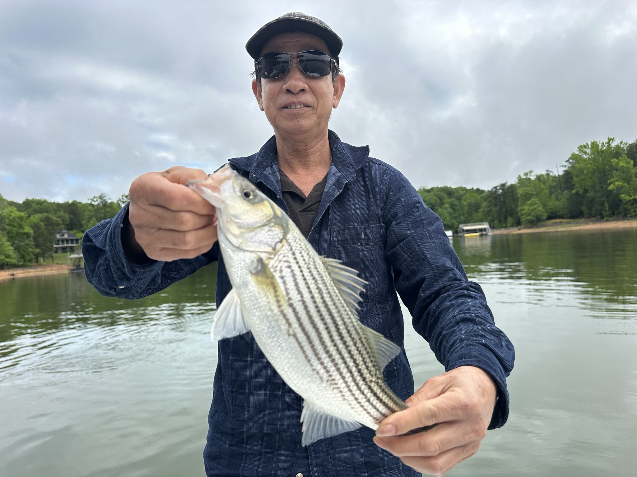 Lake Lanier May Striped Bass Success