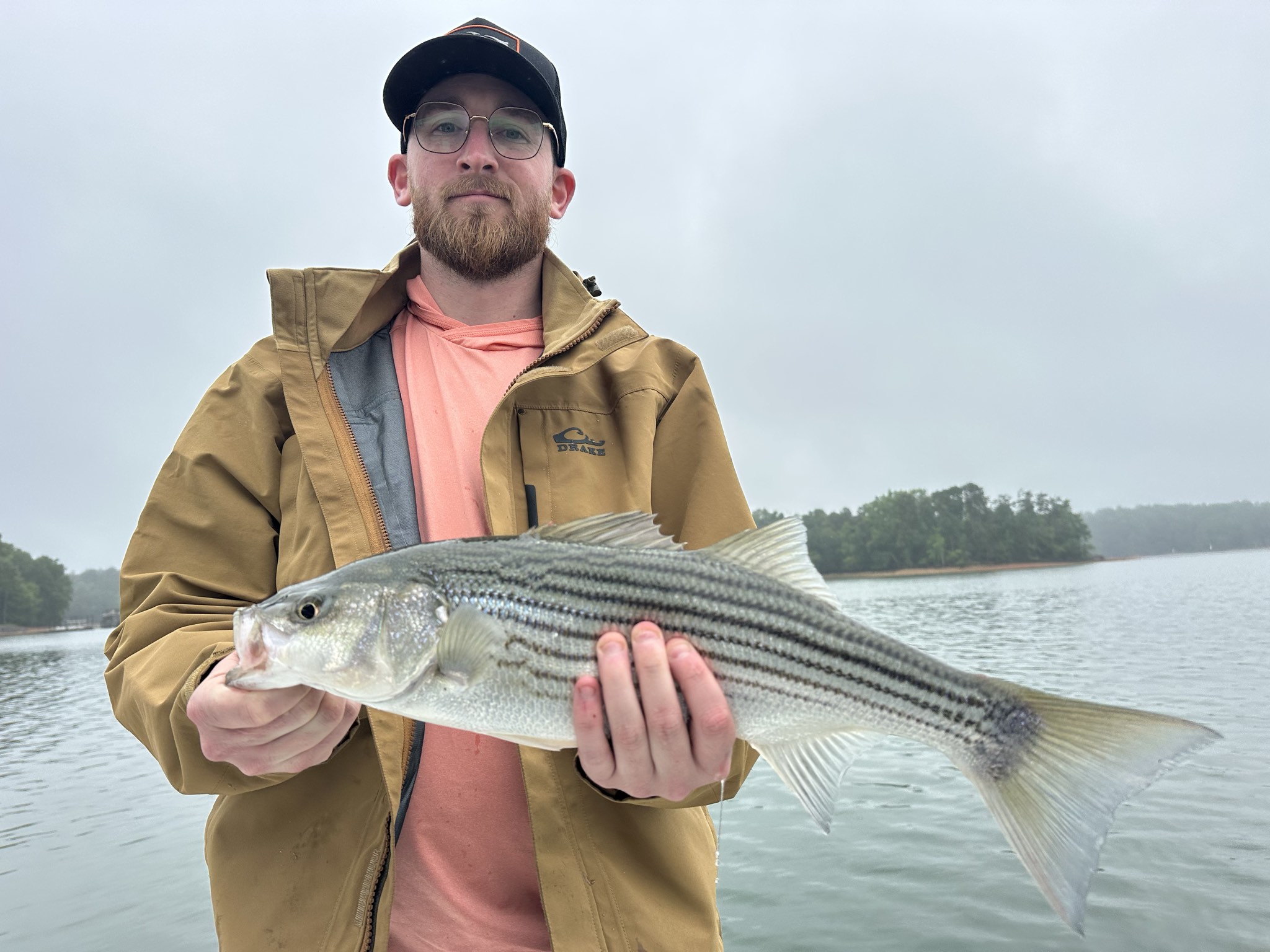 Striped Bass And Spotted Bass Action On Lake Lanier