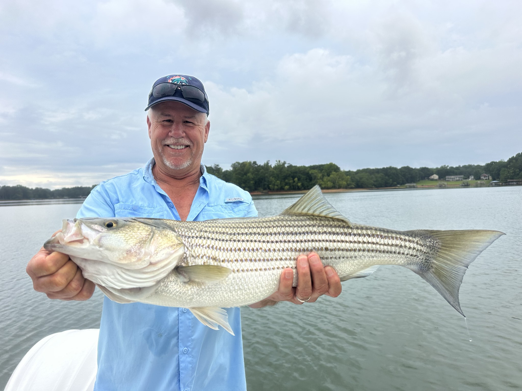Striped Bass — June 2026