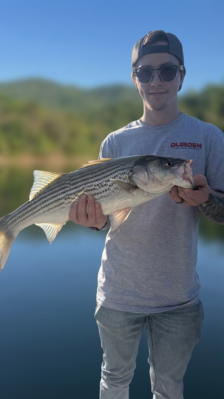 Striped Bass & Catfish Score Big Lake Lanier