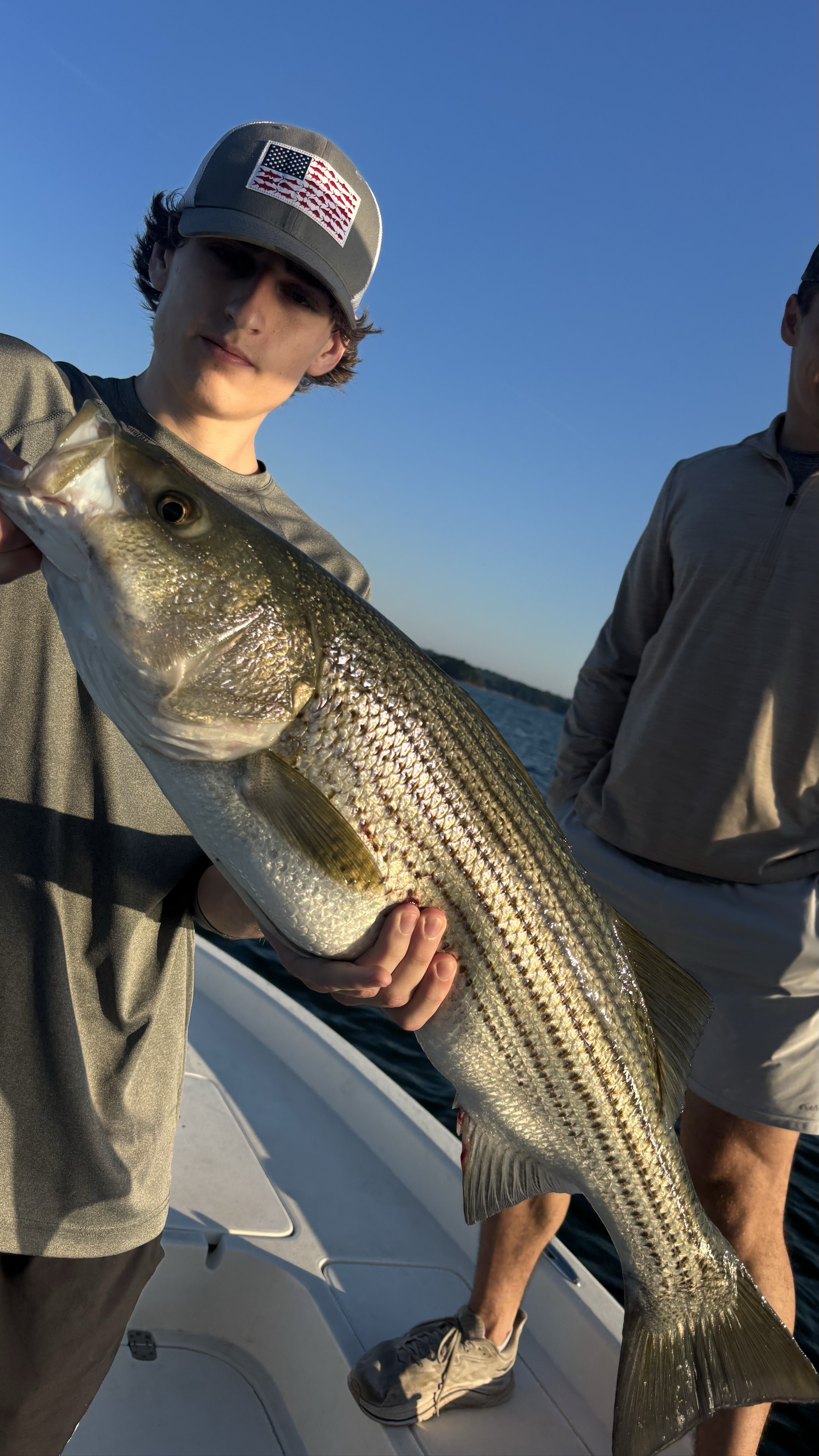 Summer Stripers Dominate Lake Lanier