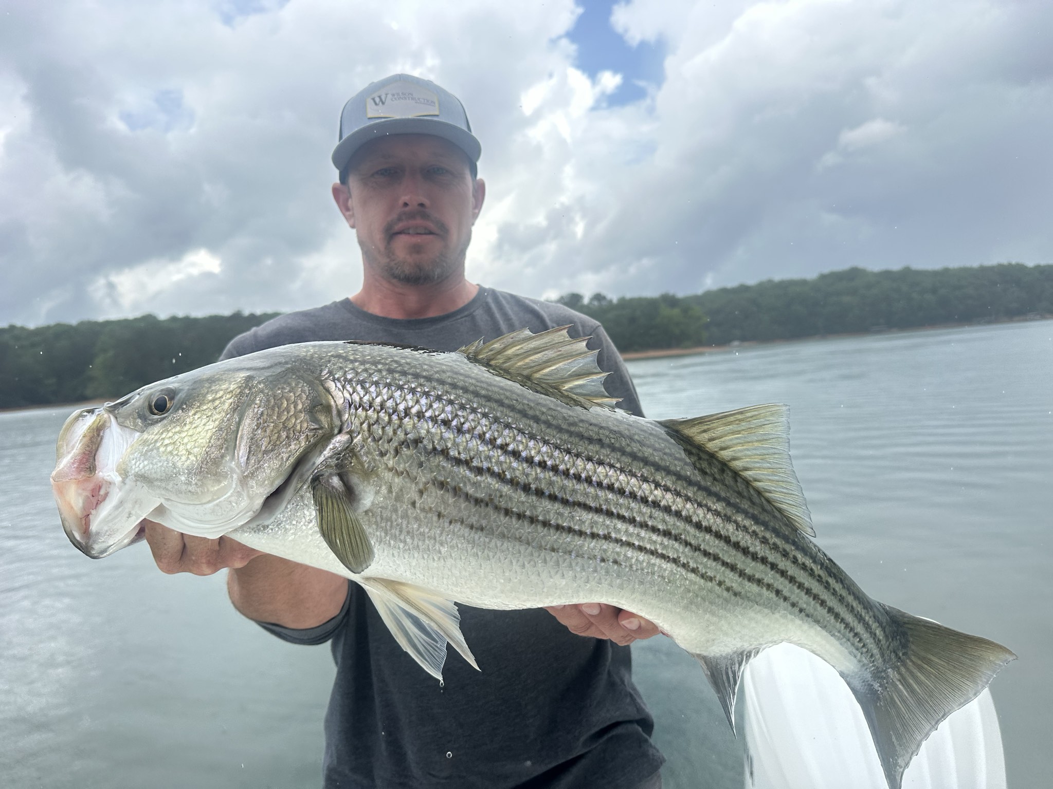 Striped Bass — May 2026