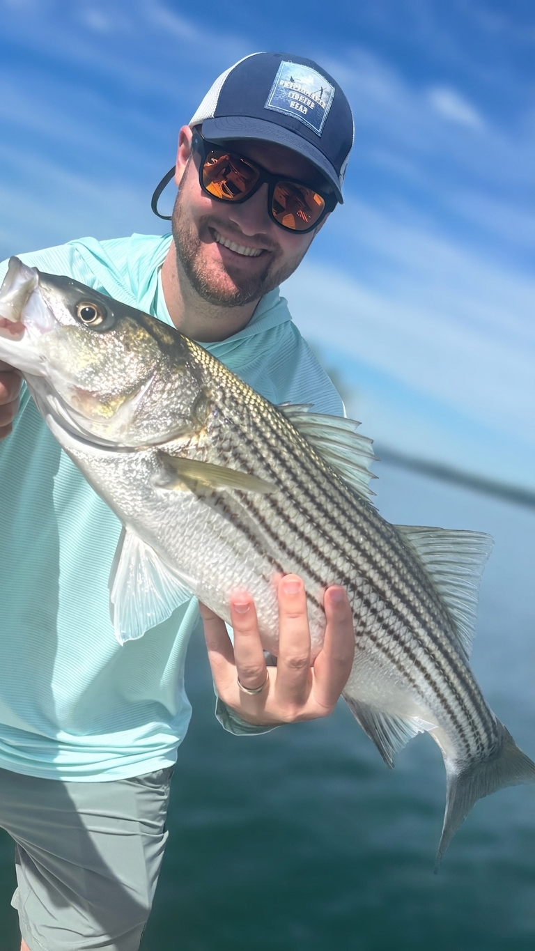 Striped And Spotted Bass Action On Lake Lanier