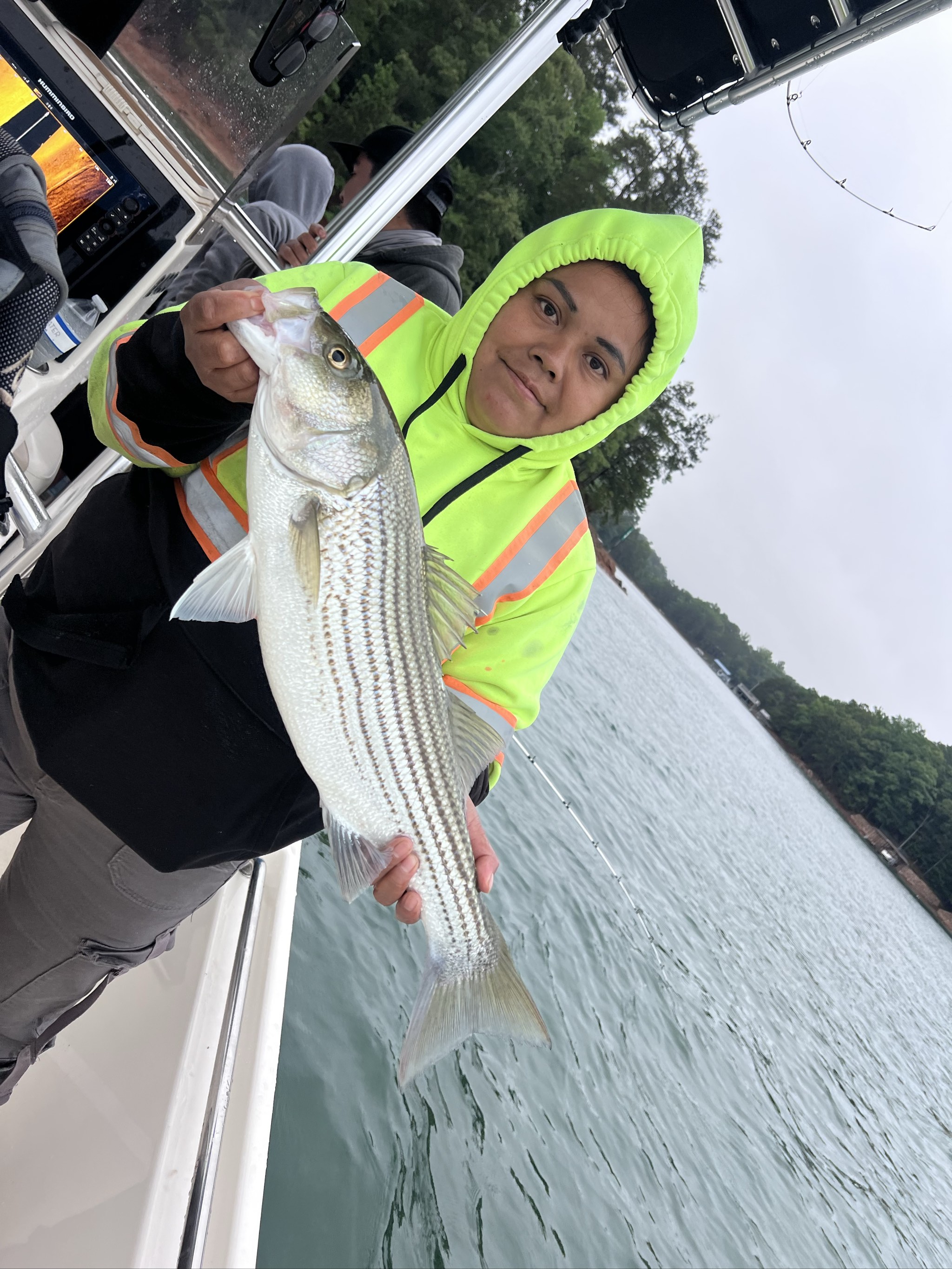 Striped Bass Success On Lake Lanier