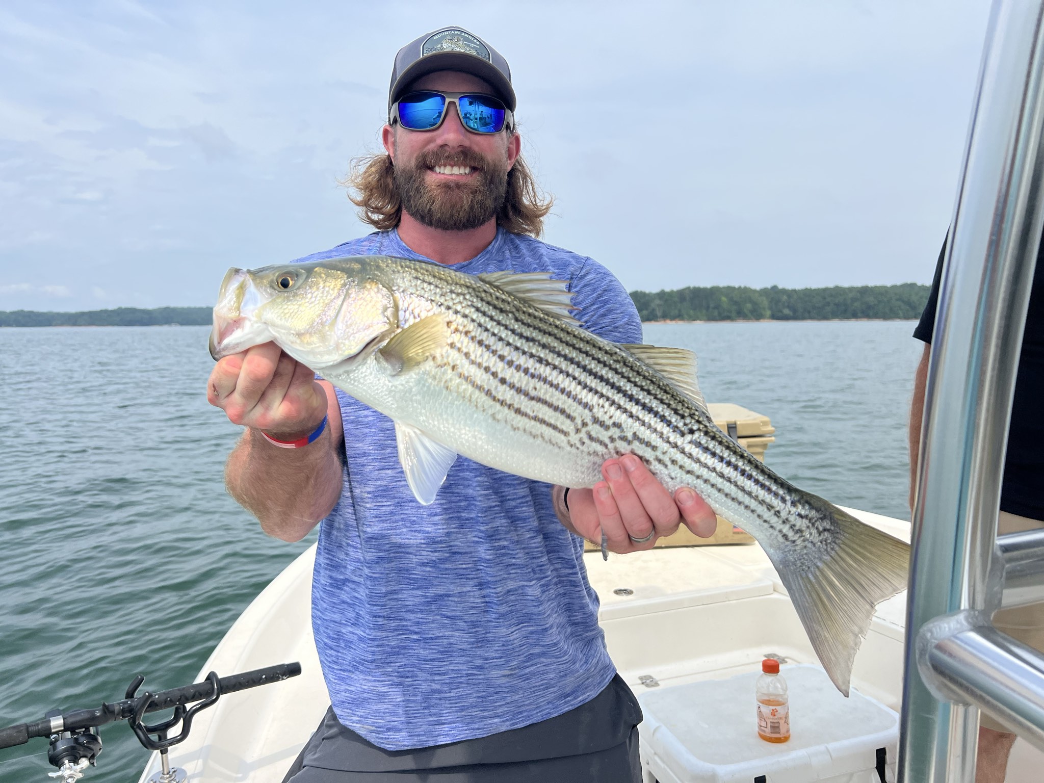 Striped Bass Action On Lake Lanier