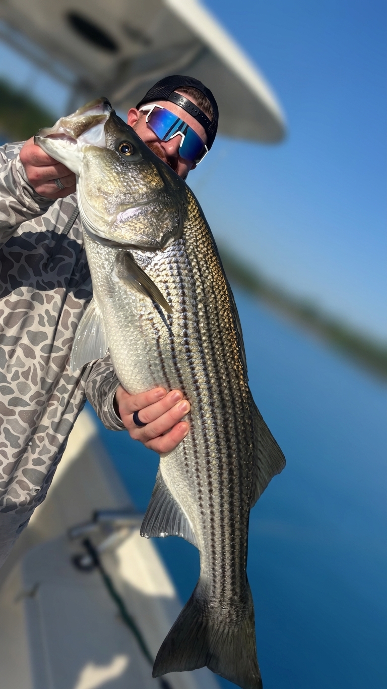 Lake Lanier bass — September 2026