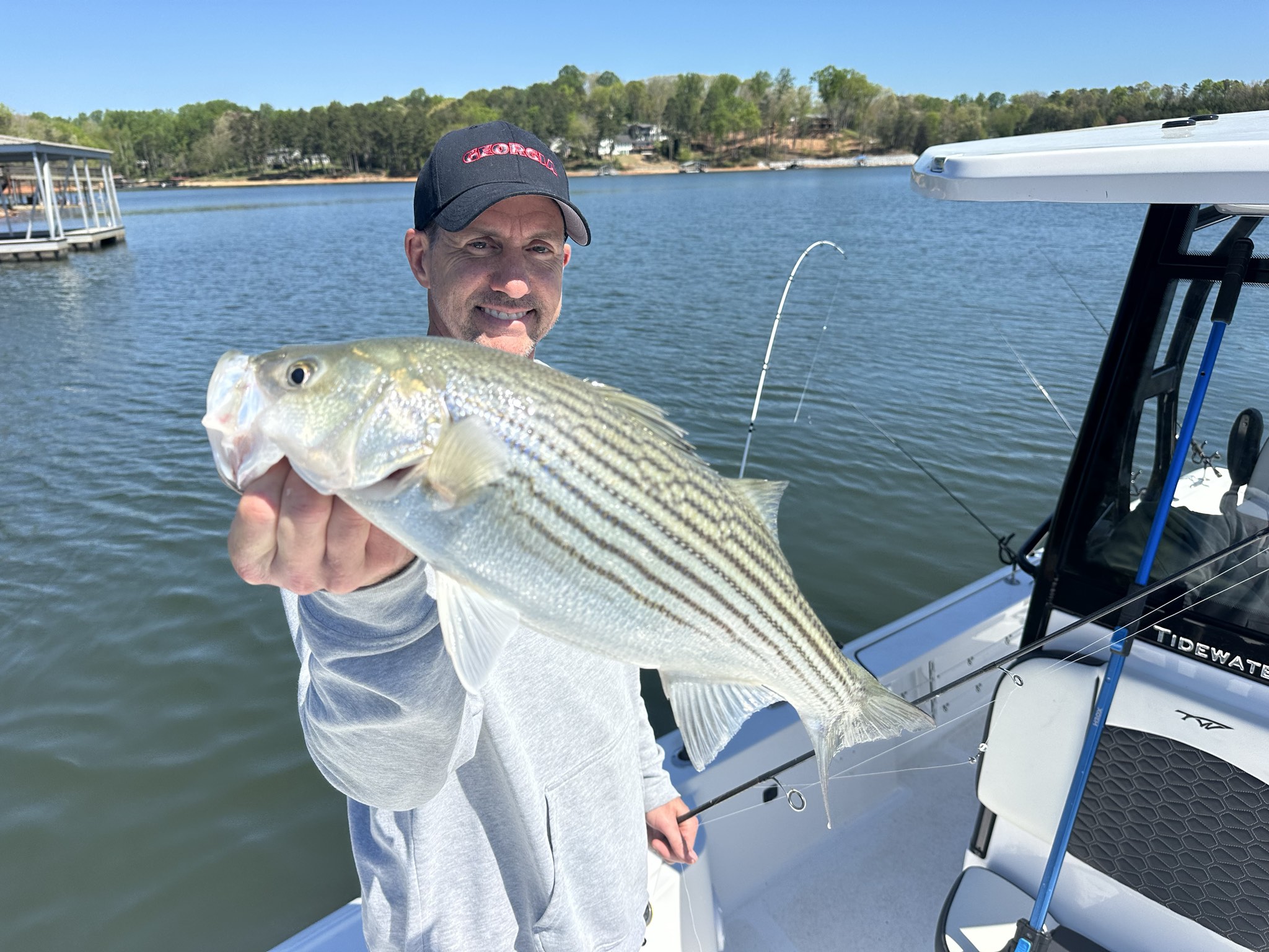 April Striped Bass And Spotted Bass On Lake Lanier