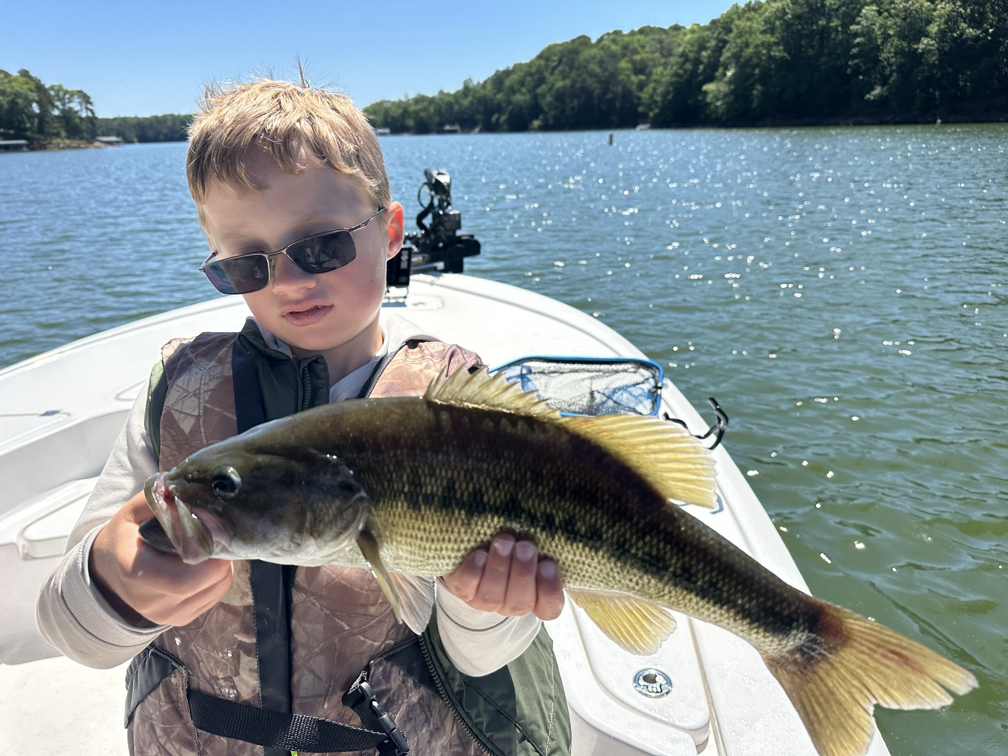 Striped Bass — May 2026