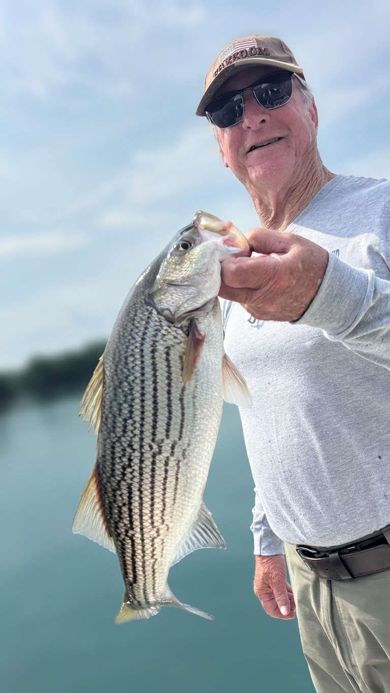 Striped and Spotted Bass Score Lake Lanier
