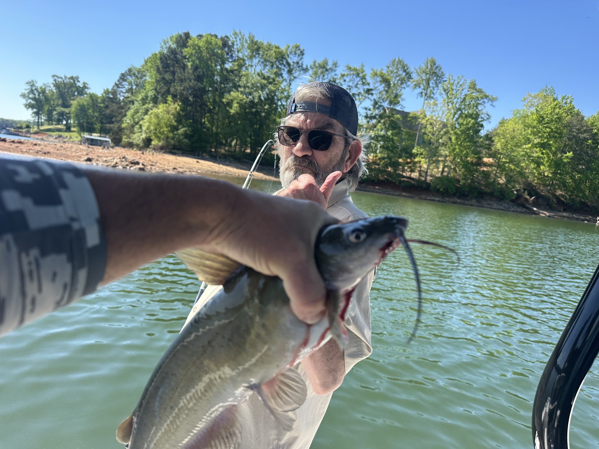 Gainesville, GA Striped Bass — April 2026