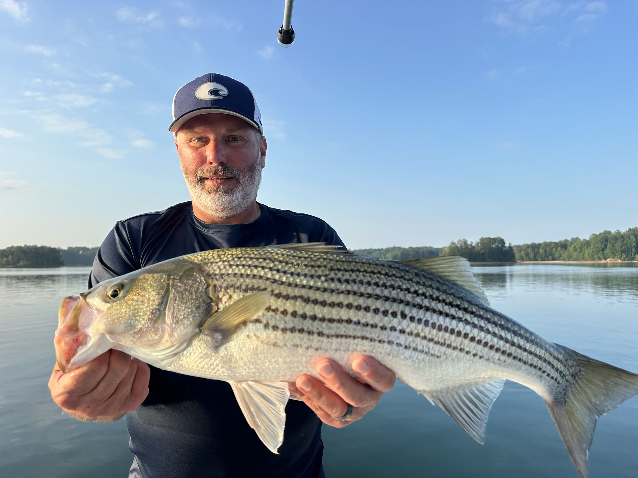 Summer Stripers And Spotted Bass Lake Lanier