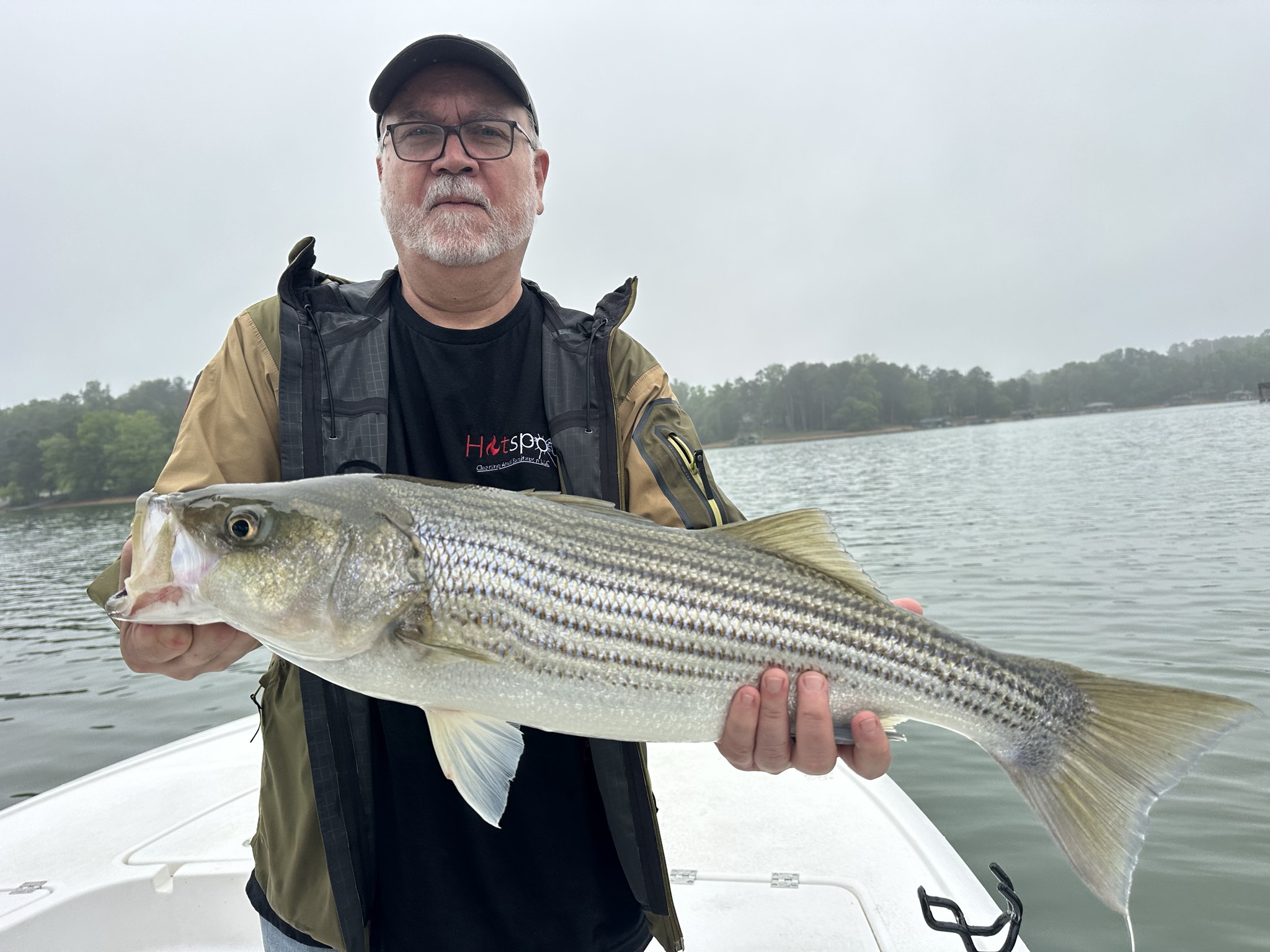 Striped Bass And Spotted Bass Action On Lake Lanier