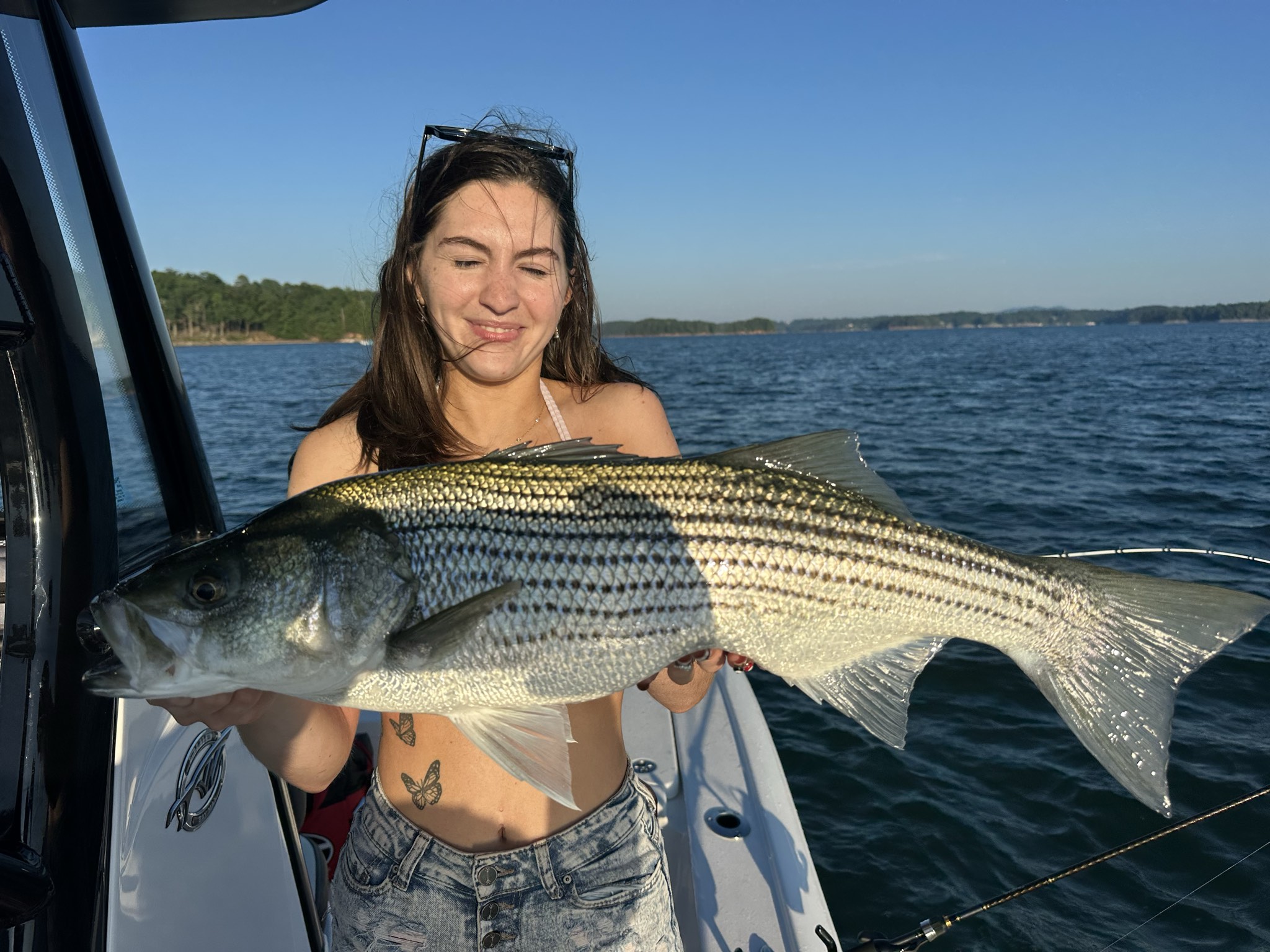 Summer Trophy Bass Action Lake Lanier