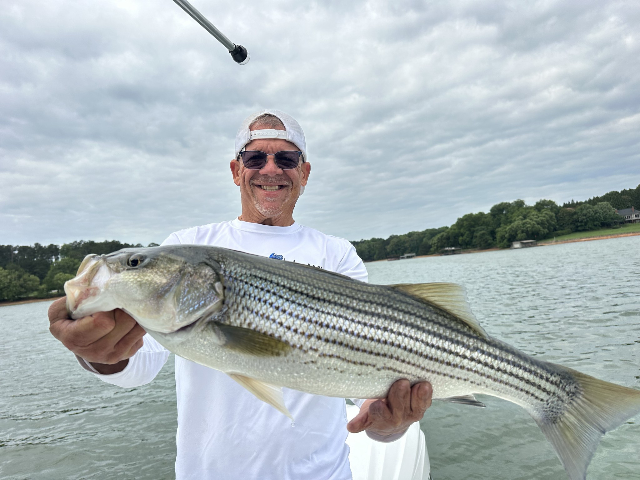 Summer Bass & Catfish on Lake Lanier