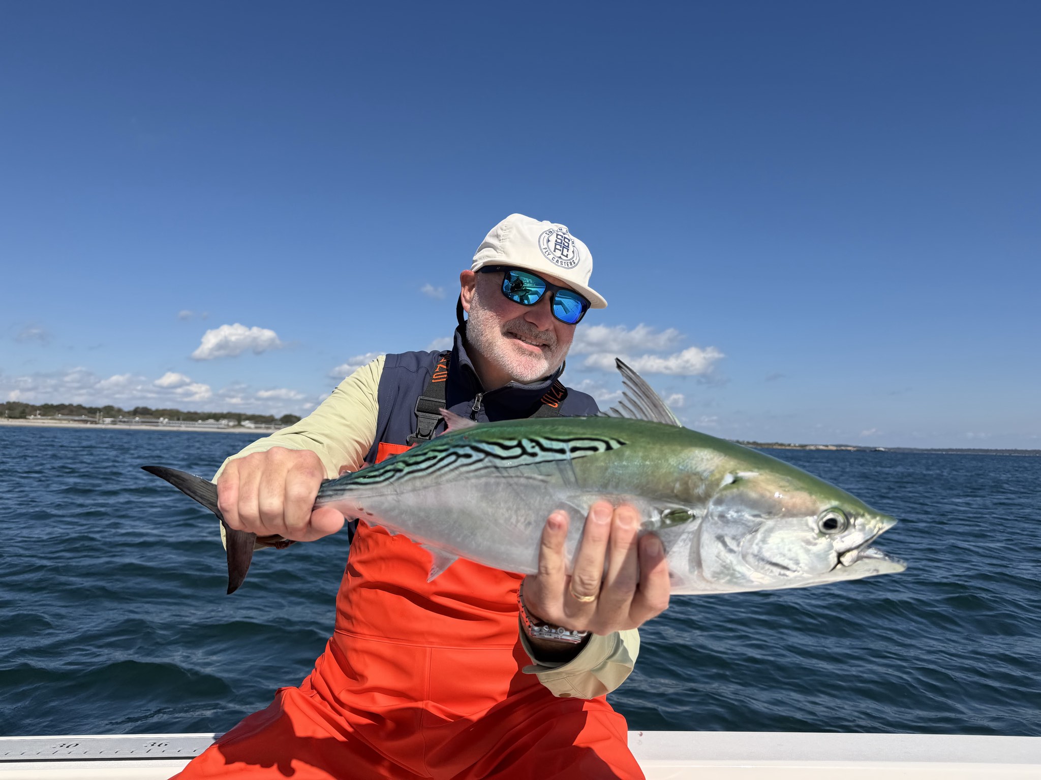 Atlantic bonito caught out of Boston, Oct 8, 2026