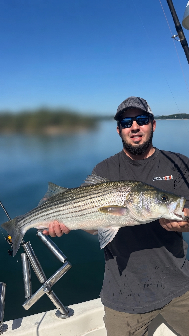 Striped bass caught on Lake Lanier, Oct 8, 2026