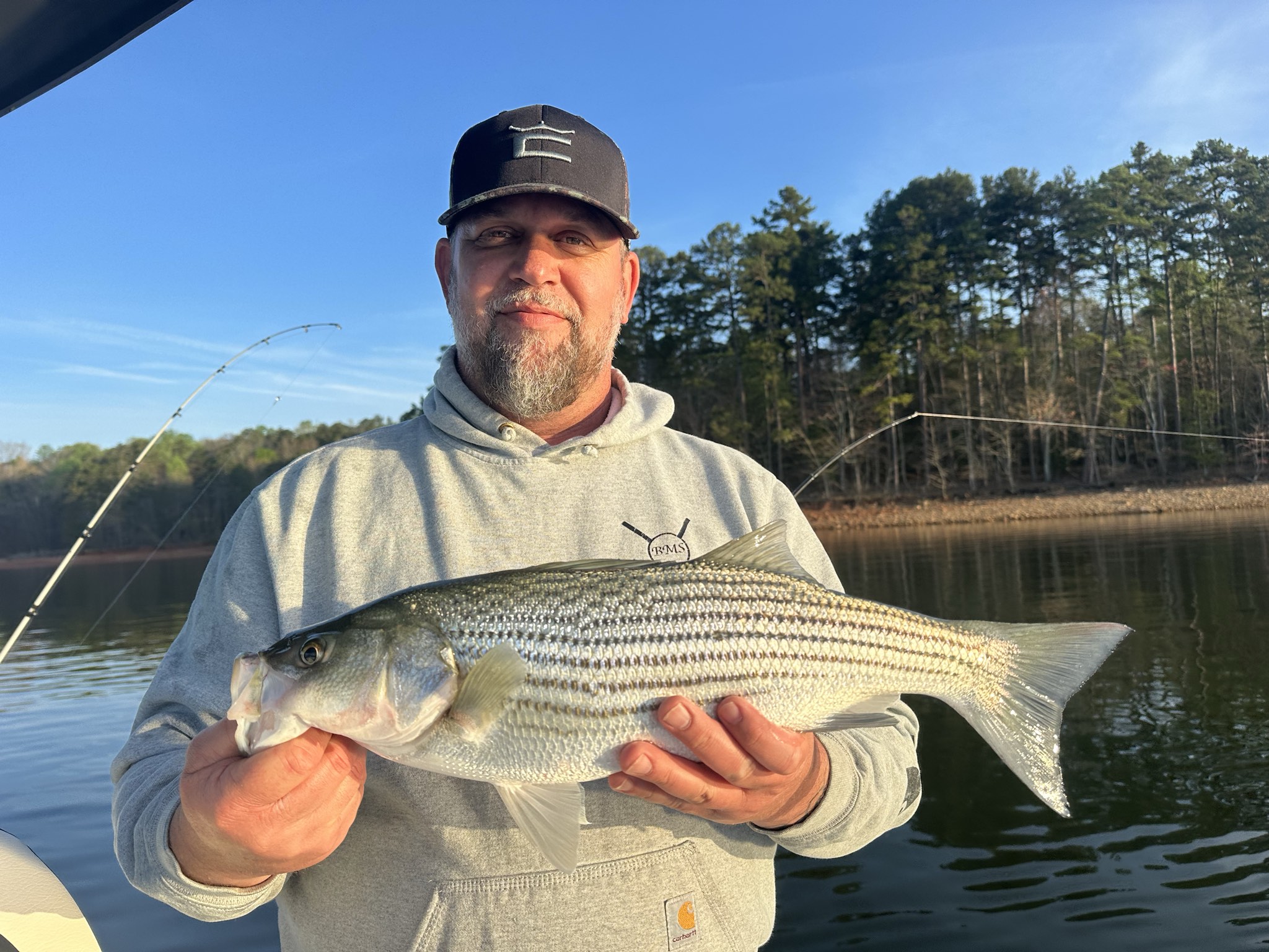 Striped Bass — April 2026
