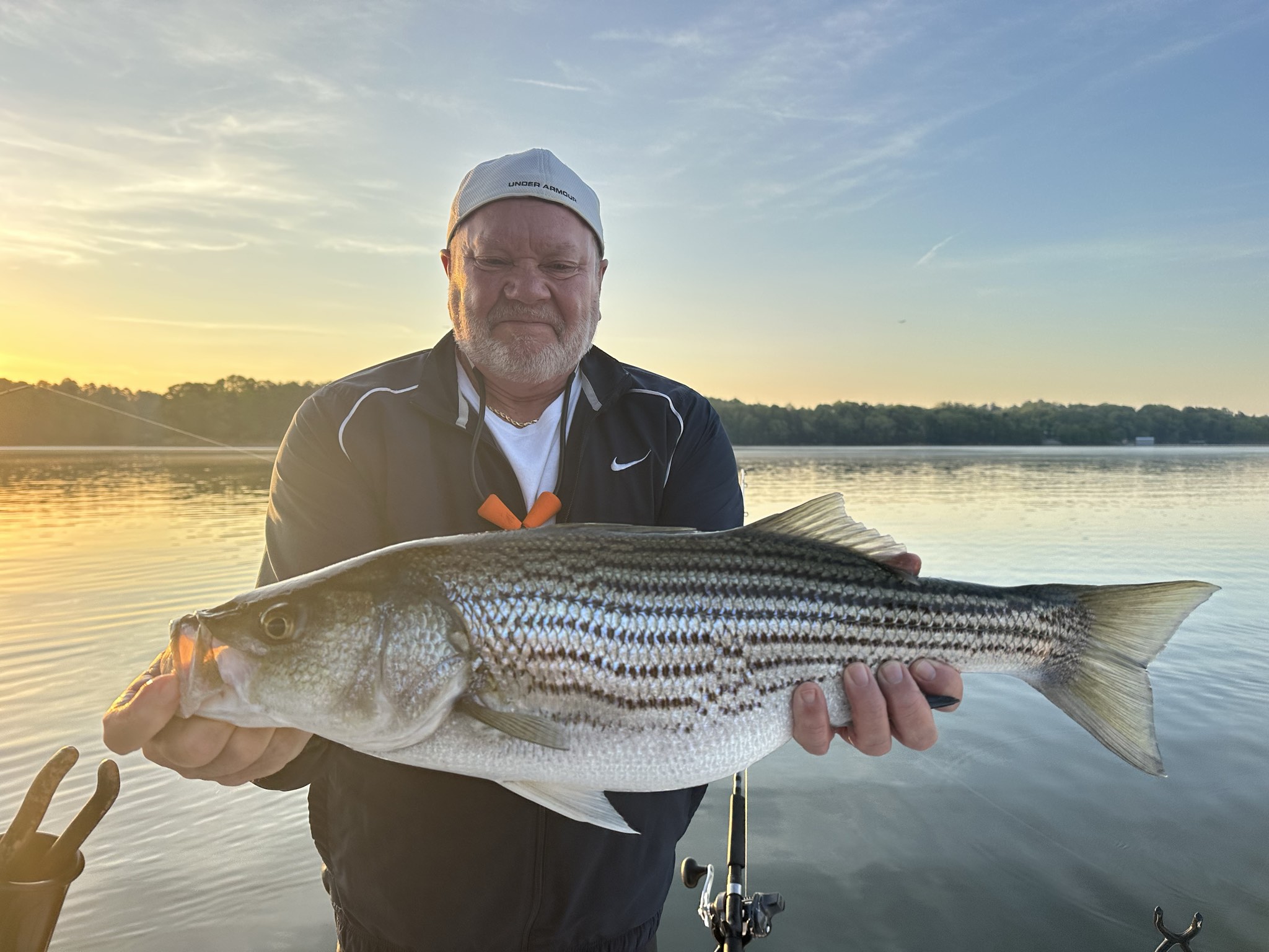 Striped Bass — April 2026