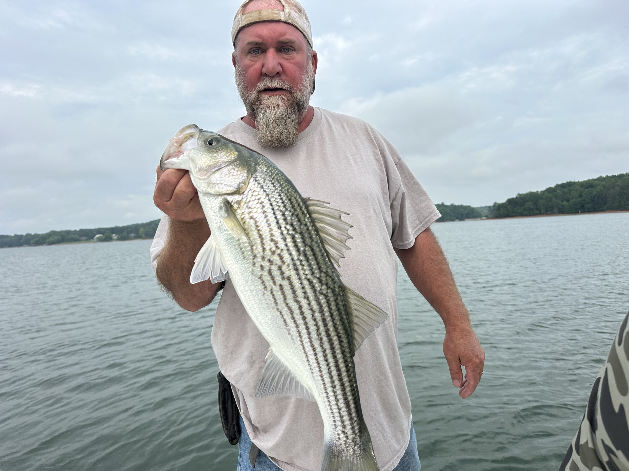 May Stripers, Spots, And Catfish On Lake Lanier