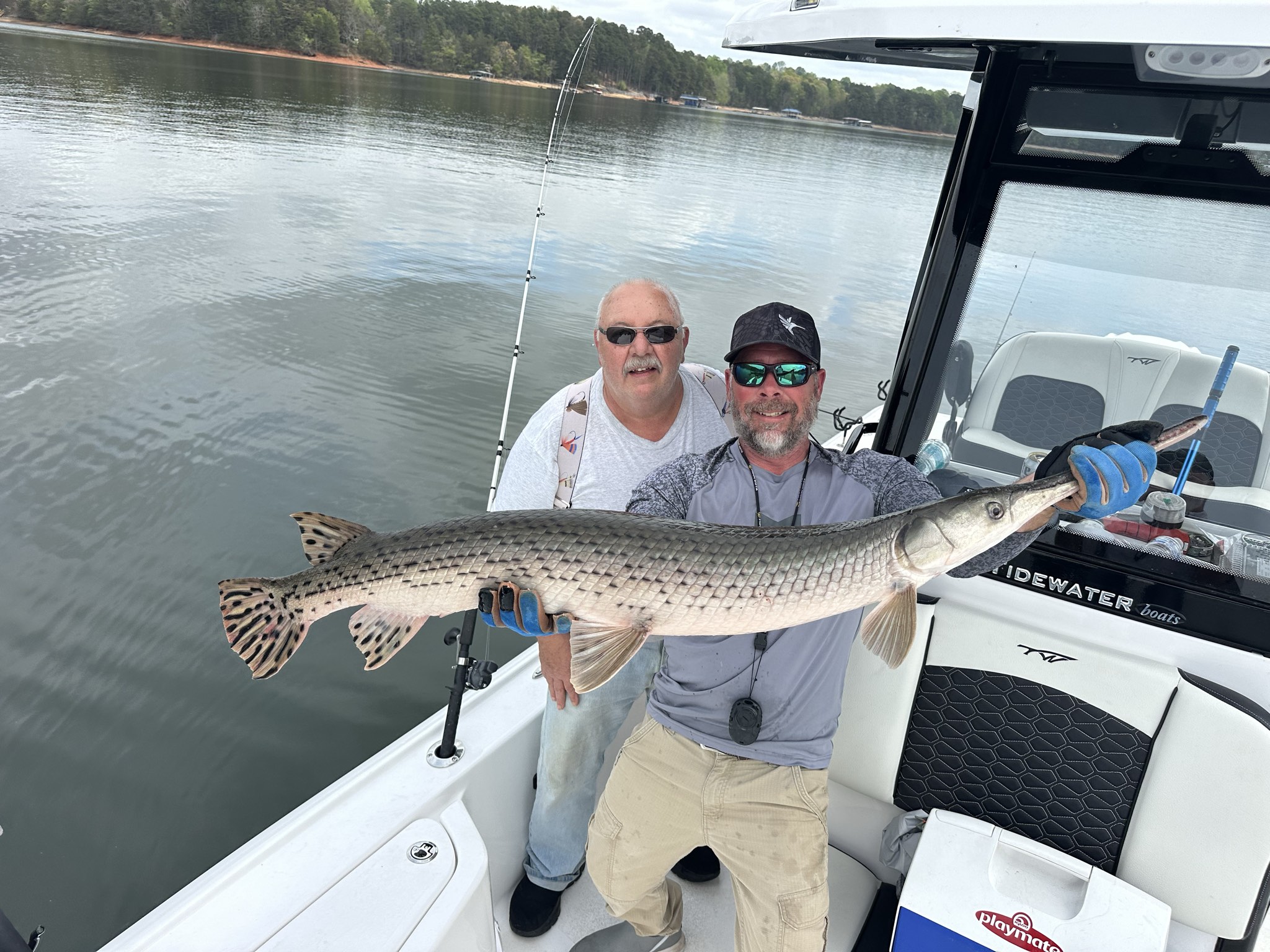 Striped Bass — April 2026