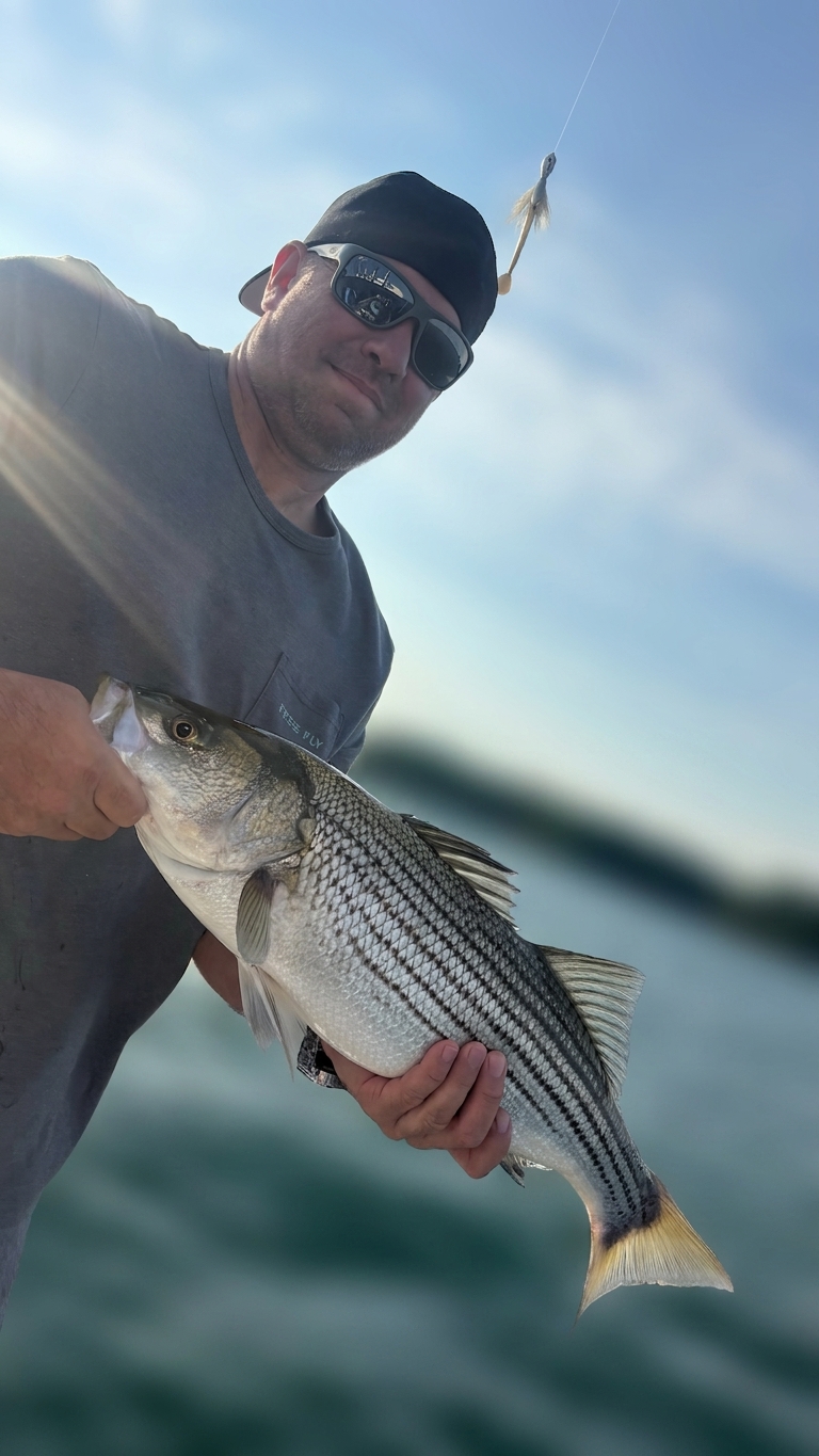 Lake Lanier bass — August 2026