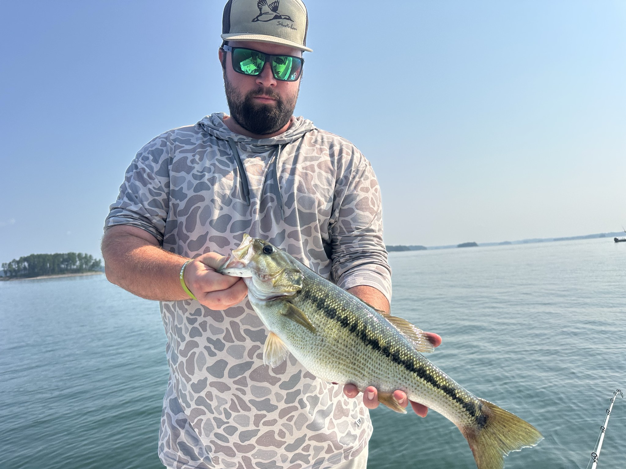 Striped And Spotted Bass Lake Lanier July