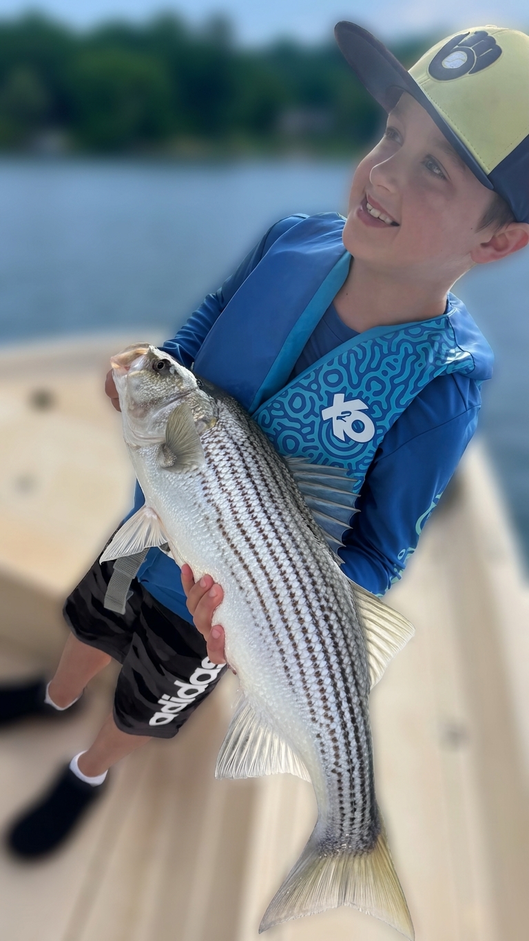 Sunset Bass Action On Lake Lanier