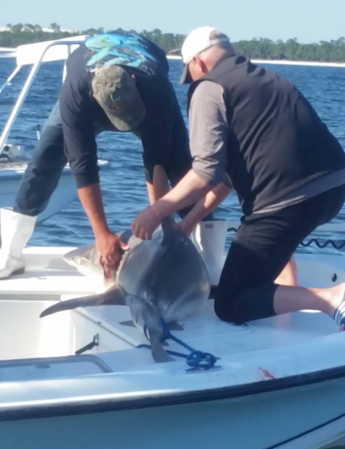 Shark Fishing Trips