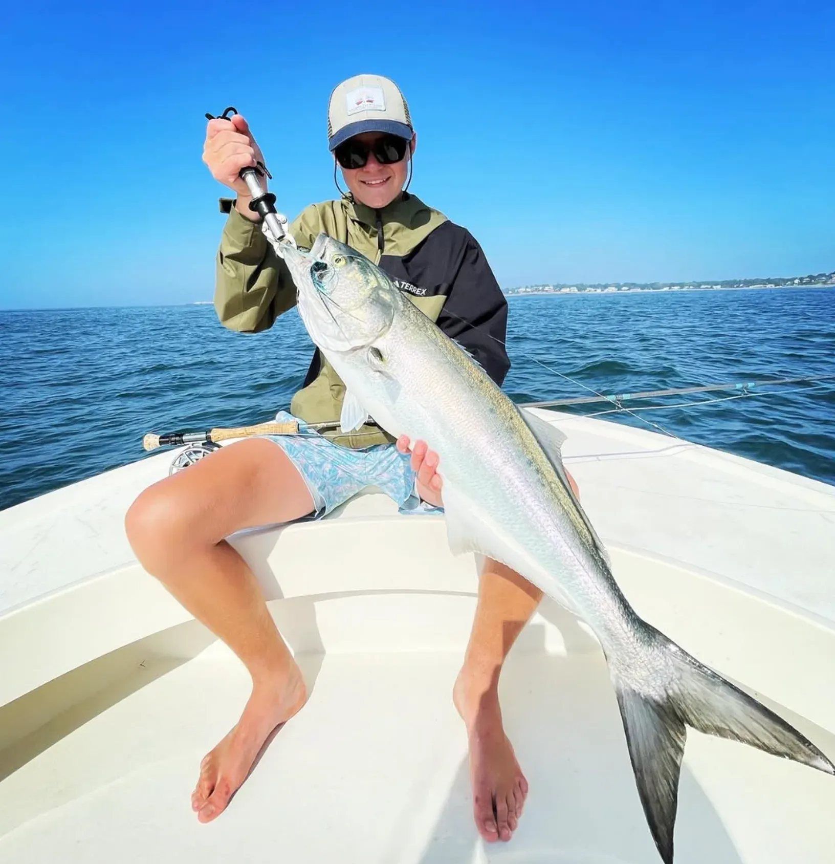 Bluefish