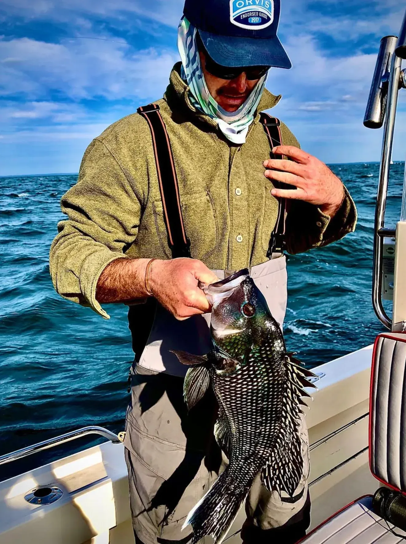 Black Sea Bass
