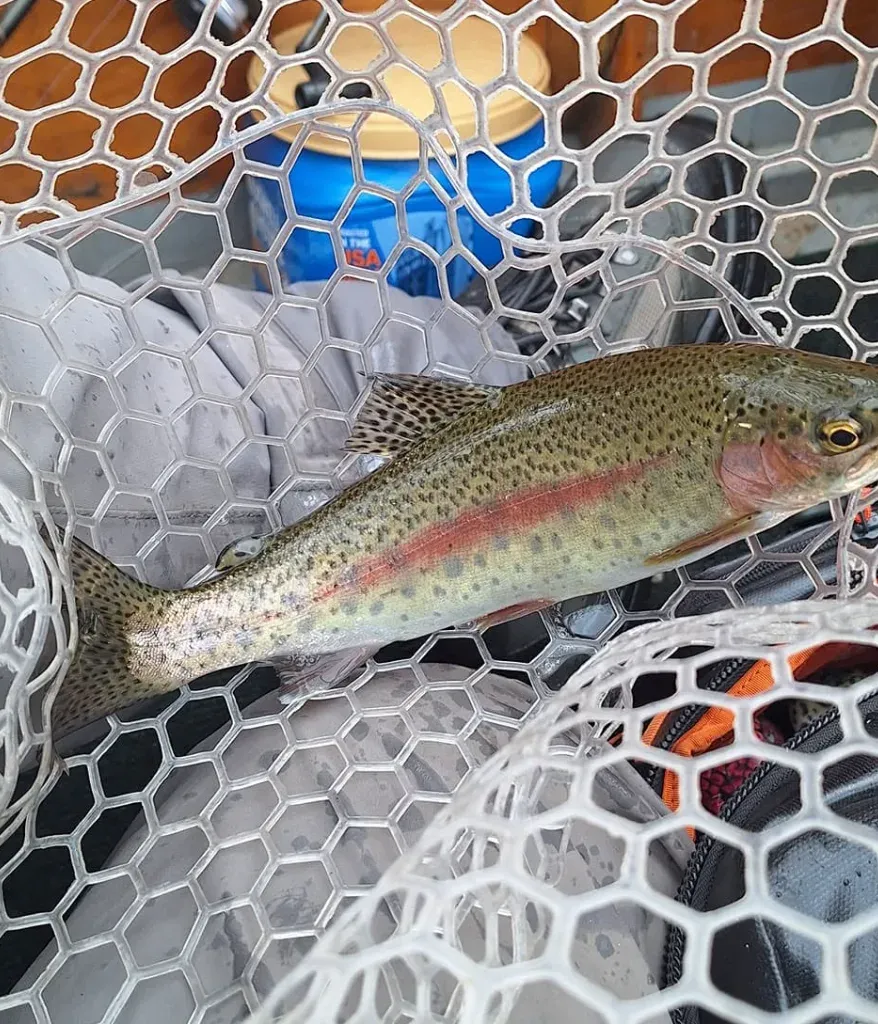 Photo from Evening Rise Fly-Fishing Guide Service