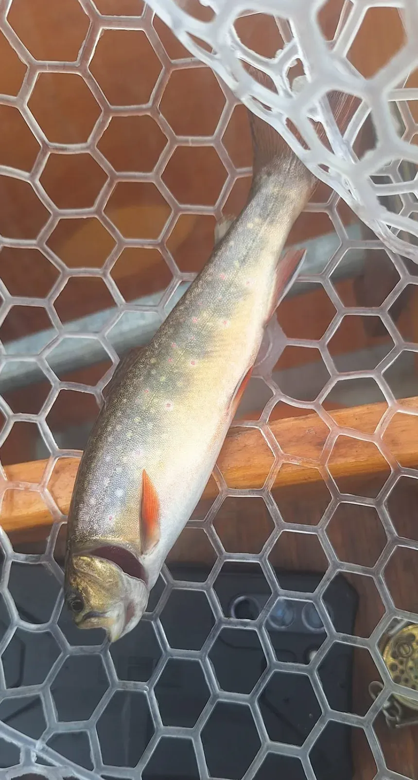 Photo from Evening Rise Fly-Fishing Guide Service