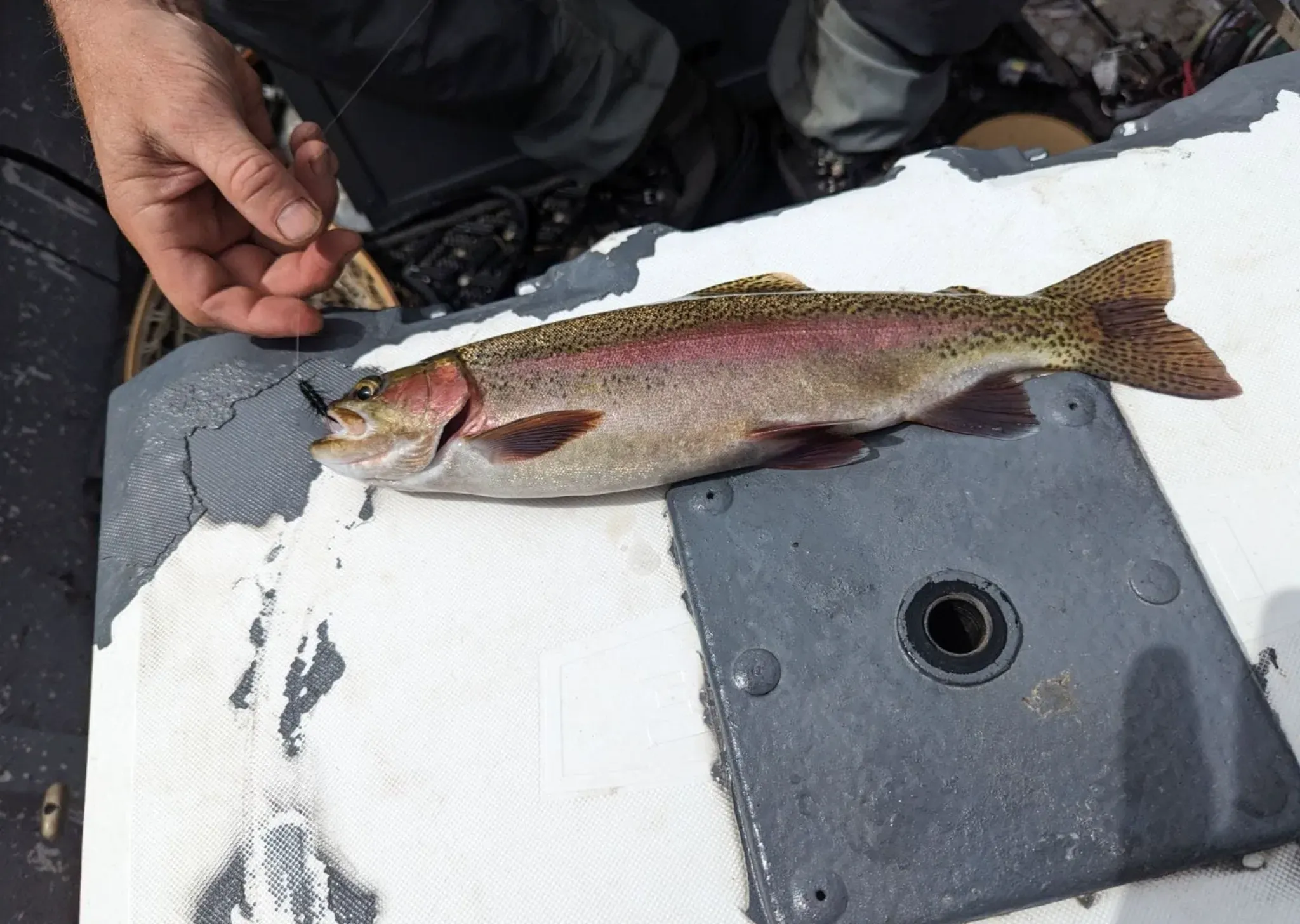 Photo from Evening Rise Fly-Fishing Guide Service
