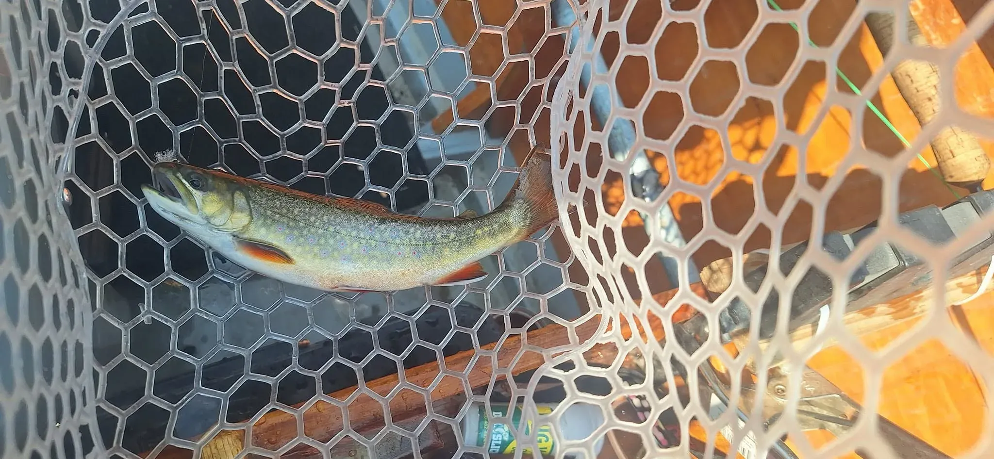 Photo from Evening Rise Fly-Fishing Guide Service