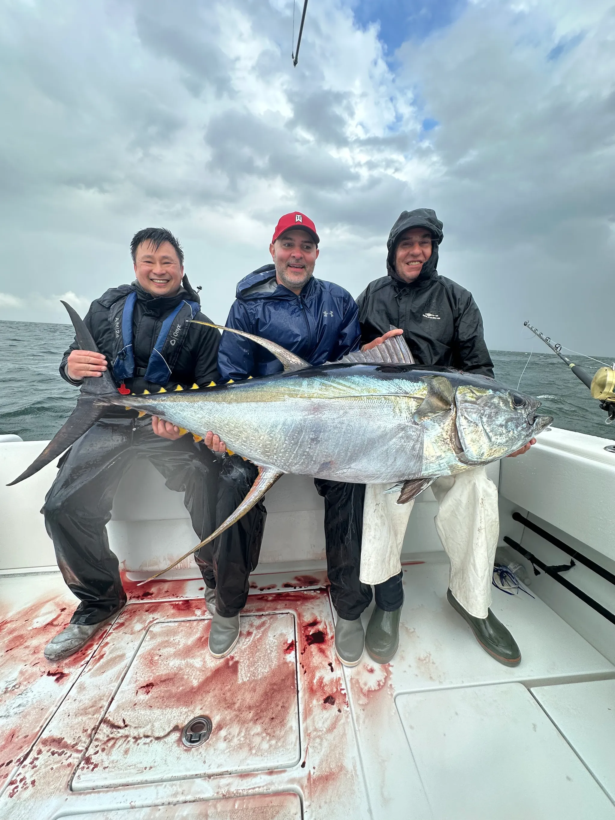 Tuna