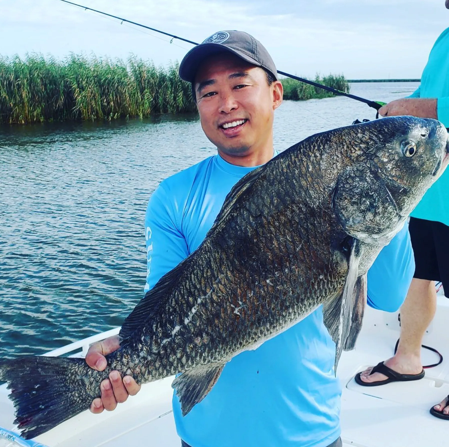 Black Drum