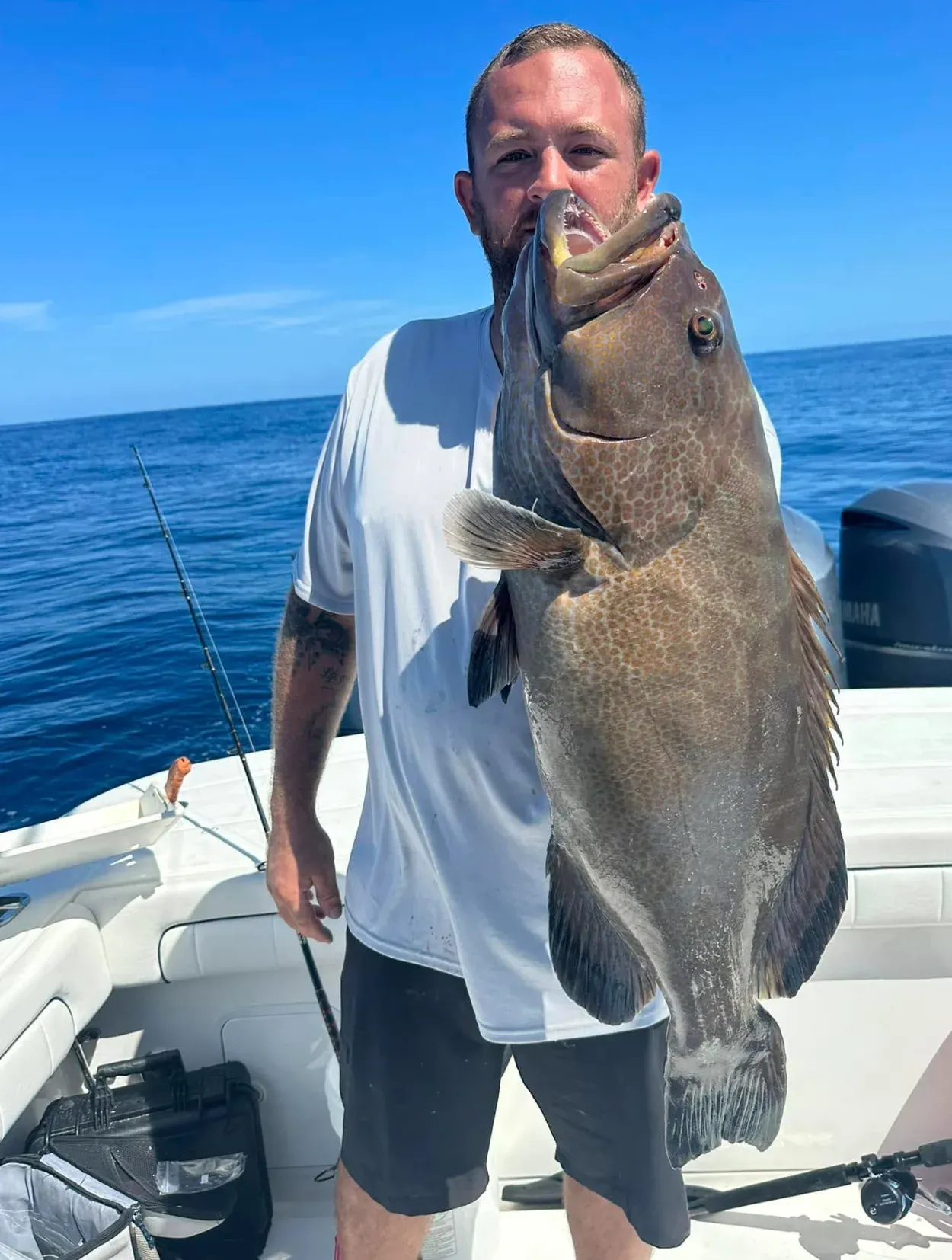 Black Grouper