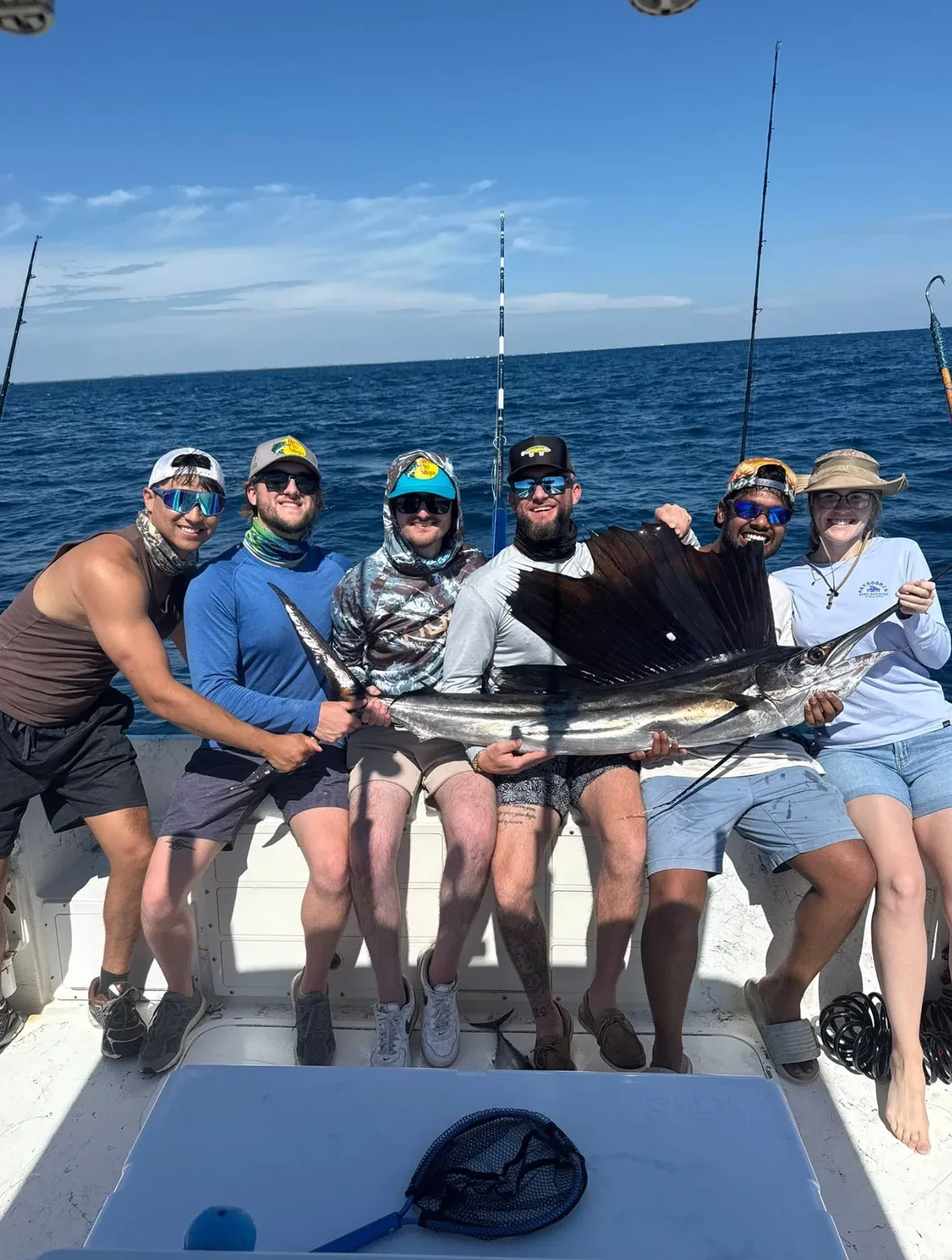 Sailfish
