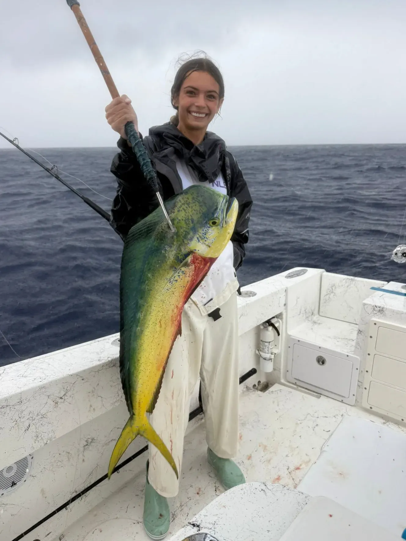 Dolphin (Mahi Mahi)