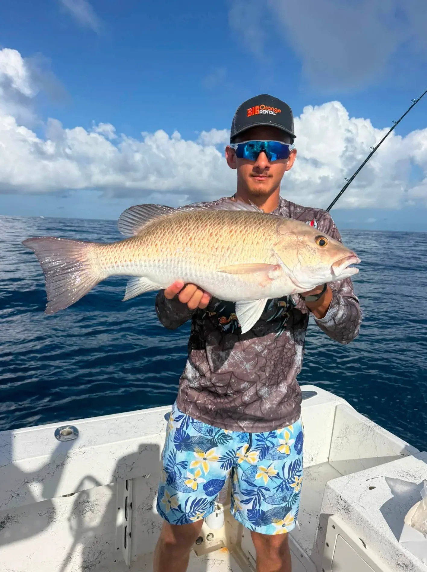 Mangrove Snapper