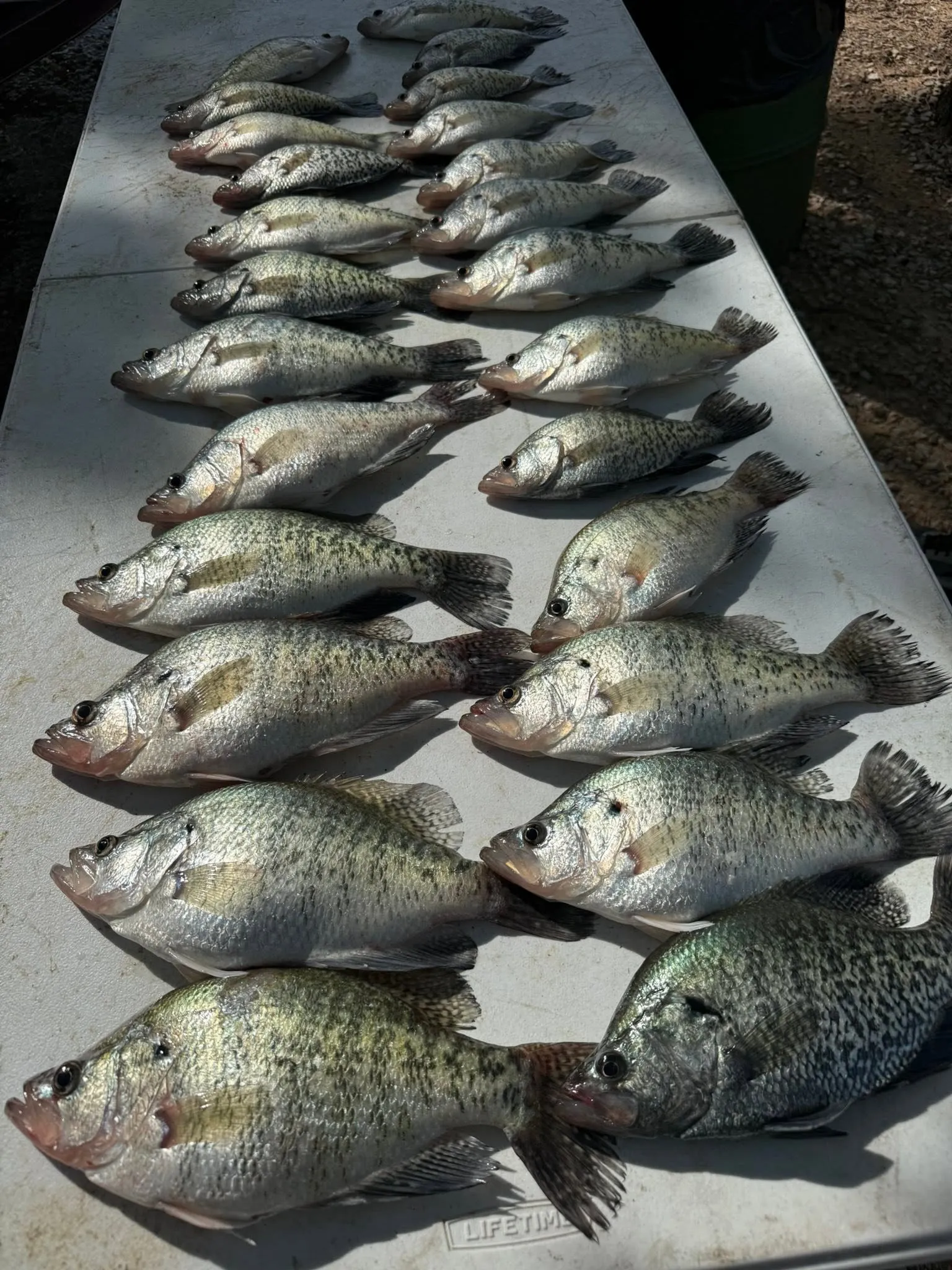 Photo from Catch The Obsession Guide Service