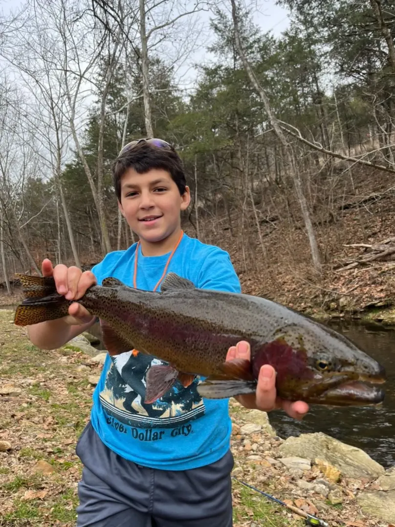 Half Day Fly Fishing Trip for Seasoned Anglers
