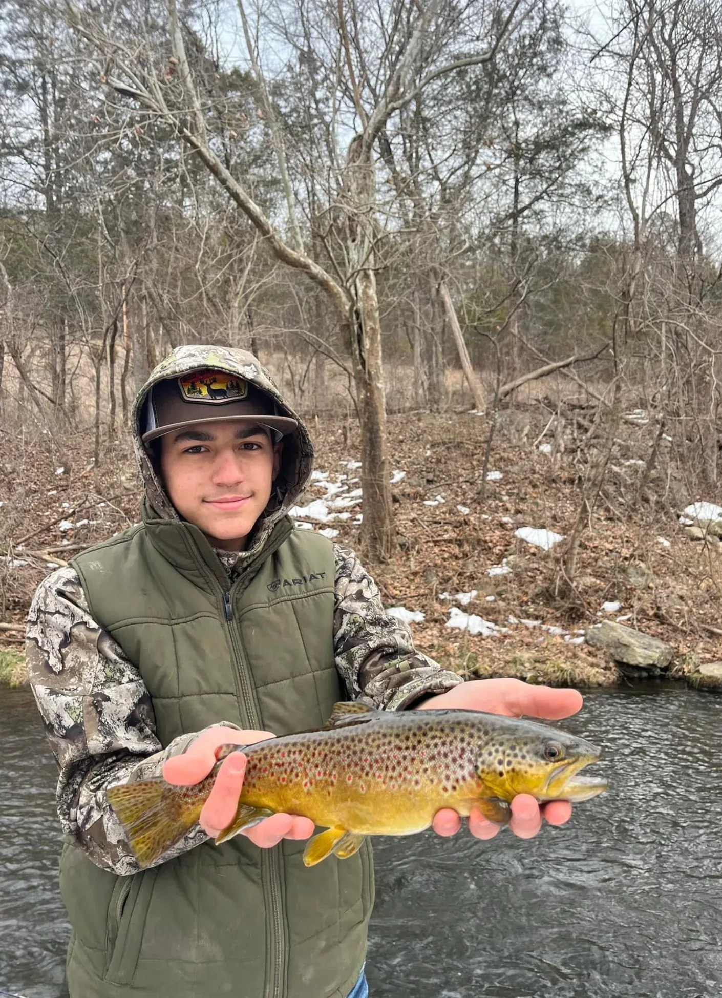 Brown Trout